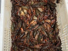 -海岛八号龙虾烧烤田鸡(蓝天路总店)