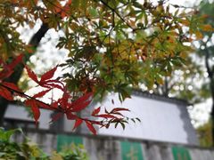 -北京鹫峰国家森林公园