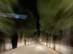 -通湖草原