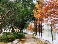 -飞来湖湿地公园