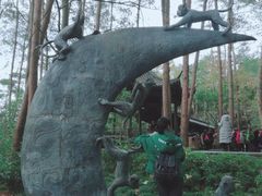 -千岛湖石林