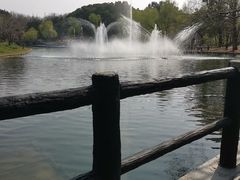 -绿荫坊餐厅(共青森林公园店)