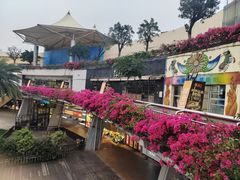 -探鱼·鲜青椒爽麻烤鱼(天河优托邦店)