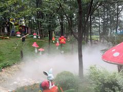 -沂蒙山旅游区云蒙景区(蒙山国家森林公园)
