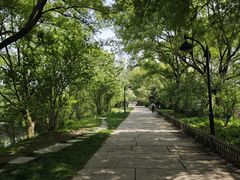 -西溪国家湿地公园