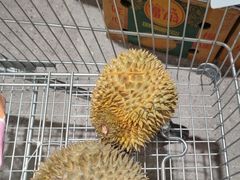 -坂田天虹