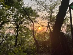 -九曜山