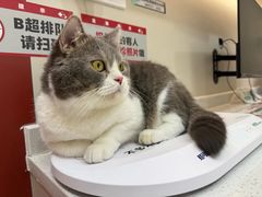 -御宝贝24h宠物医院·转诊中心·CT核磁血透中心(厦门总院)