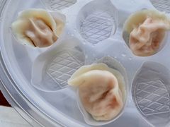 -喜鼎海胆水饺(东港店)