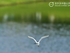 -颖奕安亭高尔夫俱乐部
