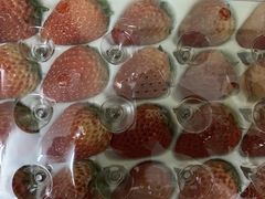 -YO!TEA有茶(科兴科学园店)