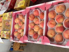 -南汇水蜜桃采摘(大团店)