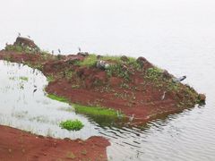-安宁市宁湖森林公园