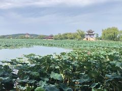 -颐和园