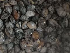 -宾朋海鲜特色美食餐厅·纯手工鲅鱼水饺(兴海路店)