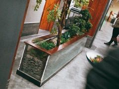 -天天鱼港·海鲜·鲅鱼水饺·招牌烤鸭(黄骅店)