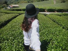 -优游吧斯邹族文化部落