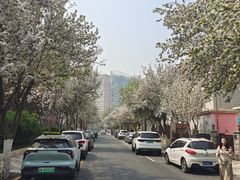 -天津五大道文化旅游区