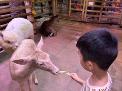 -正佳雨林生态植物园