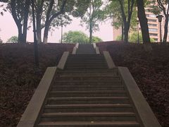 -重庆市江北嘴中央商务区中央公园