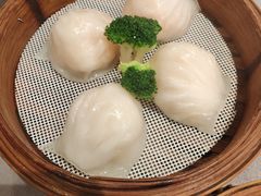 -东方御宴海鲜酒楼(棕泉酒店)