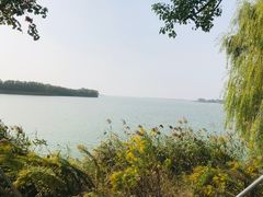-漕湖湿地公园