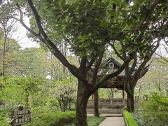 -汇龙潭