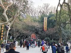 -杭州黄龙洞