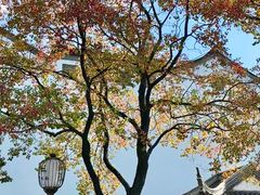 -万达影城(银兴菲林店)