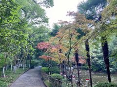 -川沙古镇-停车场