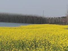 -南京枫彩漫城