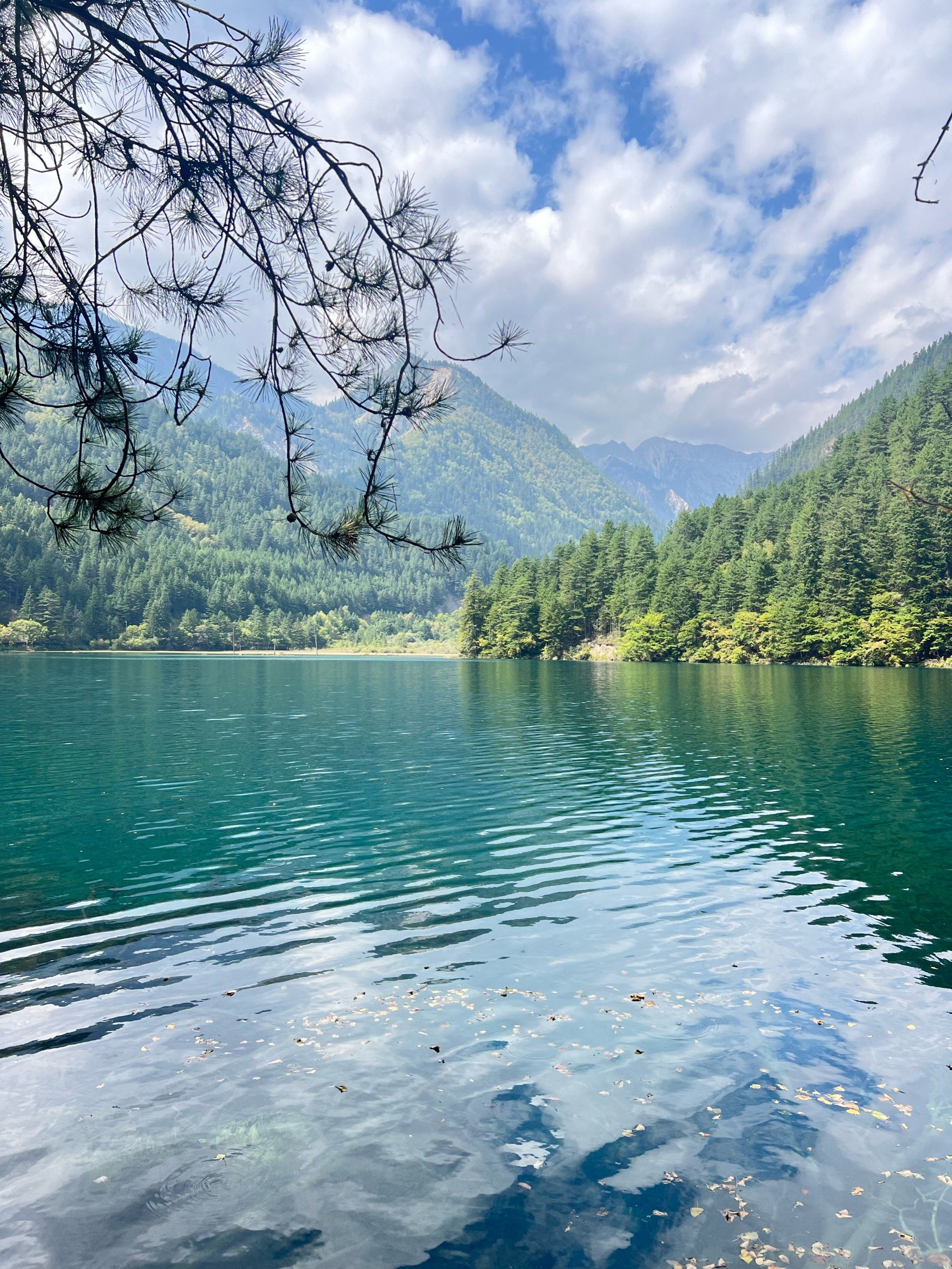 好山好水好风景 #九寨