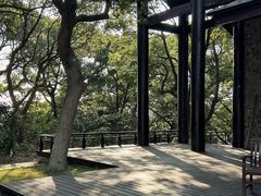 -平湖九龙山旅游度假区