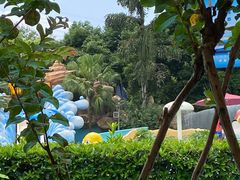 -重庆海昌加勒比海水世界