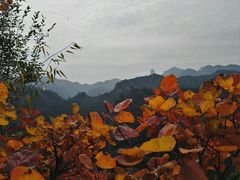 -爱情山风景区
