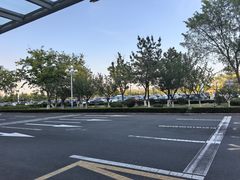 -威海大水泊国际机场