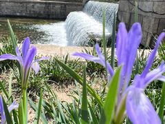 -元大都城垣遗址公园