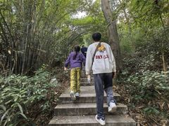 -潜山国家森林公园