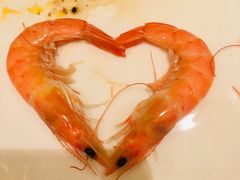 -上海大宁福朋喜来登酒店大堂吧(共和新路店)