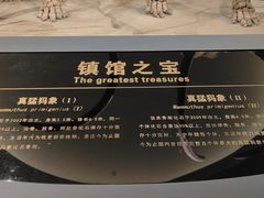 -大庆市博物馆