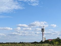 -上海吴淞炮台湾国家湿地公园