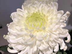 -汇龙潭