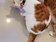 -平行世界·猫咖(首经贸店)