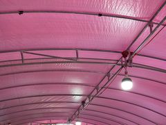 -马白开来特色羊排揪片子  (总店)