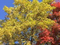 -长春市南湖公园