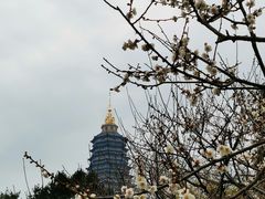 -红梅公园