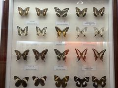 -陕西自然博物馆