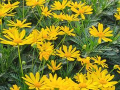 -大龙山(地铁站)