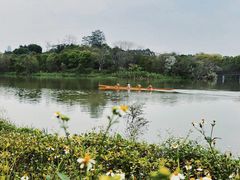 -海珠湖公园