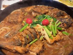 -老板恋上鱼(恒隆广场店)